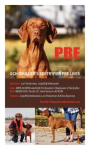 Hetkowski Pre VCA Nats 2018 Ad