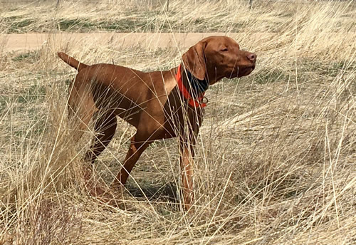 Banni 9 months point