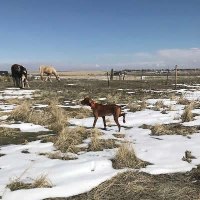 Banni first point 9 mo