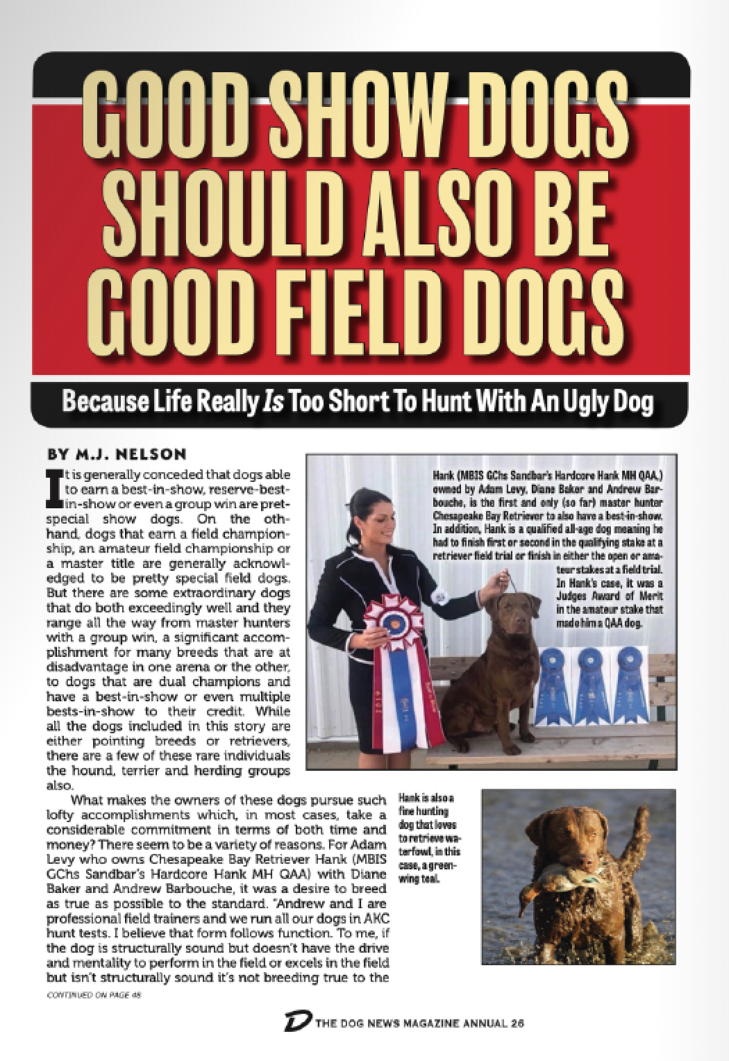 Trip Boulder Vizslas